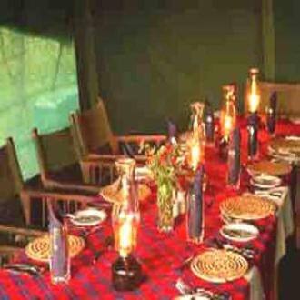 Royal Safari Camp, Pushkar 5